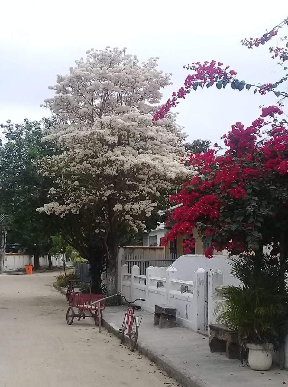 Casa Da Coruja Bed & Breakfast Rio de Janeiro Ngoại thất bức ảnh