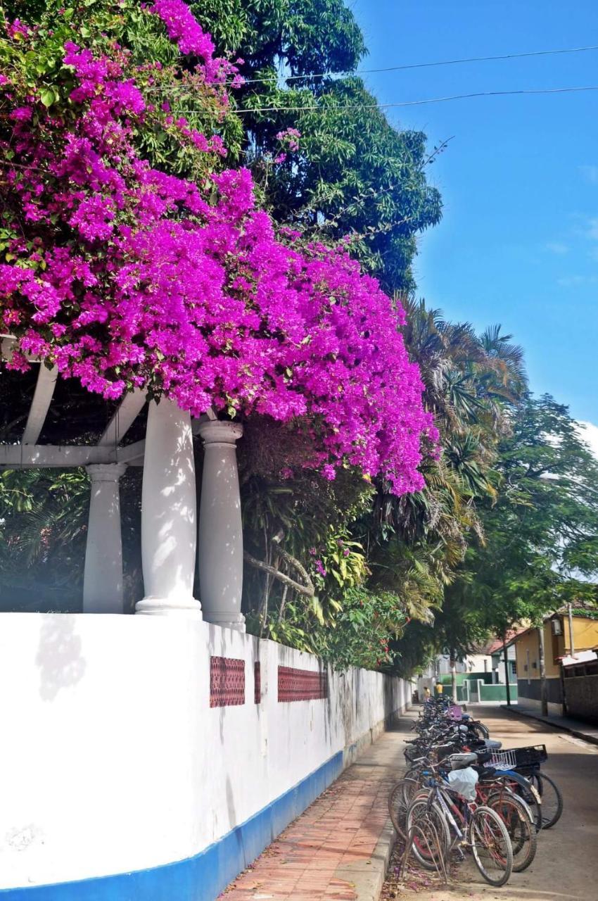 Casa Da Coruja Bed & Breakfast Rio de Janeiro Ngoại thất bức ảnh